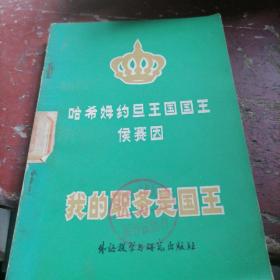 我的职务是国王
