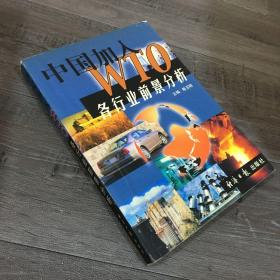 中国加入WTO各行业前景分析