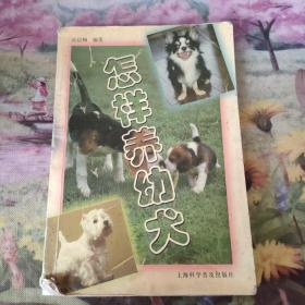 怎样养幼犬
