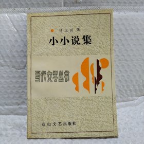 小小说集