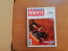 特别关注（2013年第3期）