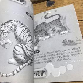 笑猫日记：蓝色的兔耳朵草