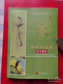 秦皇岛昆虫生态图鉴