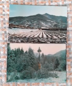 山村雪景 （任购6件包邮）