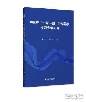 中国在“一带一路”沿线国家投资安全研究