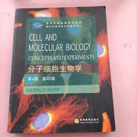 分子细胞生物学