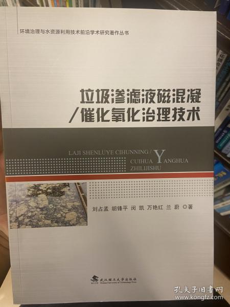 垃圾渗滤液磁混凝/催化氧化治理技术/环境治理与水资源利用技术前沿学术研究著作丛书