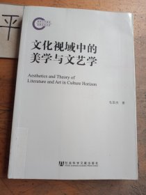 国家社科基金后期资助项目：文化视域中的美学与文艺学