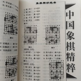 棋苑：中国象棋精妙绝杀