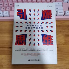 引爆思维：抛弃最佳实践拥抱初学者心态（无写划）