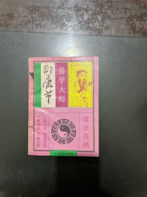 易学大师邵康节 1994年一版一印