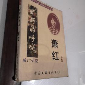 中国现代小说风格流派名篇（流亡小说）—旷野的呼喊