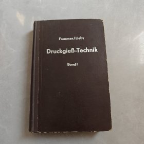 DruckgueB Technik压铸技术 第1卷（英文版）