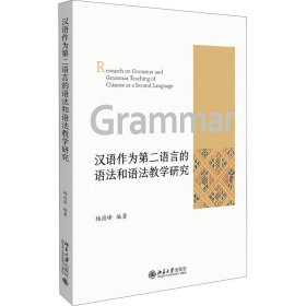 汉语作为第二语言的语法和语法教学研究