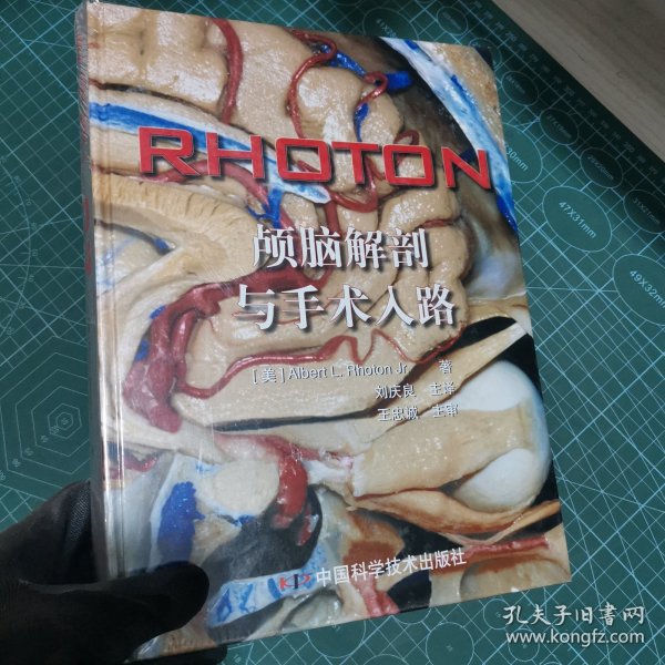 RHOTON?颅脑解剖与手术入路