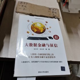 大数据金融与征信/互联网金融系列丛书