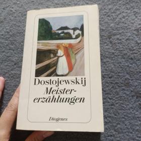 DOSTOJEWSKIJ MEISTER ERZähLUNGEN