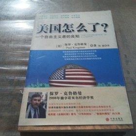 美国怎么了？：一个自由主义者的良知