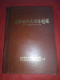 皮肤组织病理学图谱