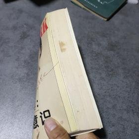 陈燕妮：纽约意识——她在大洋彼岸