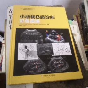 世界兽医经典著作译丛：小动物B超诊断彩色图谱