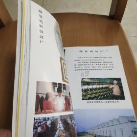 陵县风貌：东方朔故里画集 【启功封面题字／12开方本、铜版彩印、张耀峰、曹敏绘】用国画介绍了陵县人文风情 一版一印