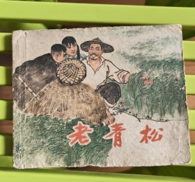 老青松