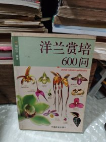 洋兰赏培600问