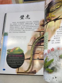 动物百科全书/少儿科普百科读本 中小学课外百科全书系列丛书（精装手绘珍藏版）