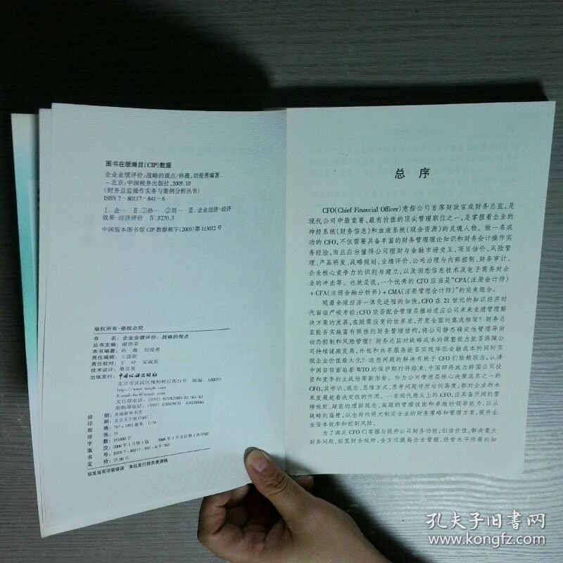 企业业绩评价 战略的观点