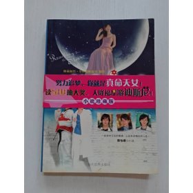 真命天女梦想的双翼（小说珍藏版）