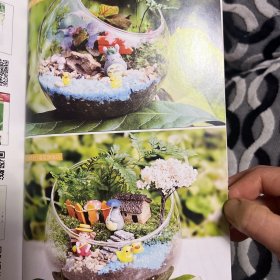 苔藓微景观魔法书【魔法DIY打造苔藓微景观，让您成就感爆棚】