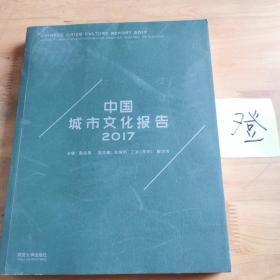 中国城市文化报告2017