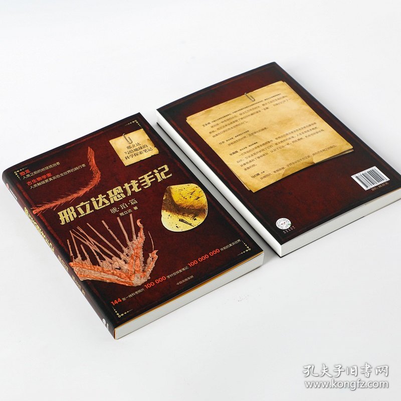 邢立达恐龙手记:琥珀篇