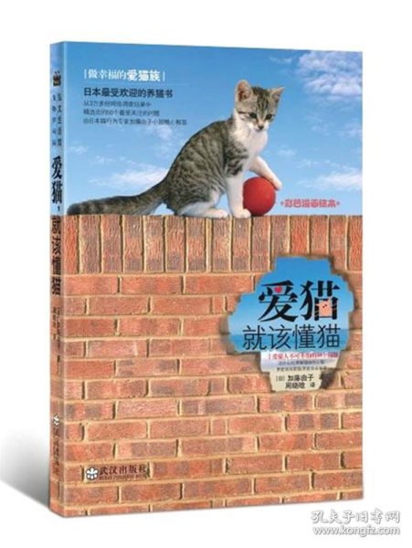 爱猫：就该懂猫