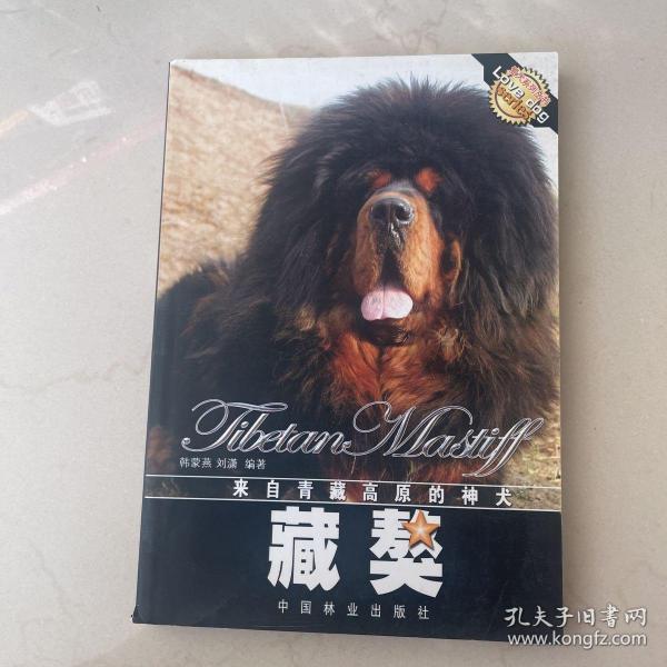 来自青藏高原的神犬：藏獒