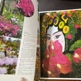 台湾，祖国的宝岛