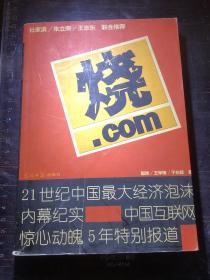 烧.com：21世纪中国最大经济泡沫内幕纪实