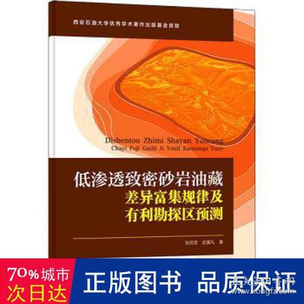 低渗透致密砂岩油藏差异富集规律及有利勘探区预测