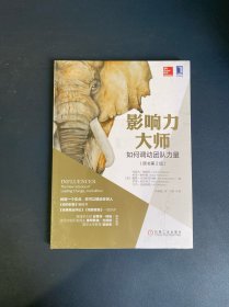 影响力大师：如何调动团队力量（原书第2版）