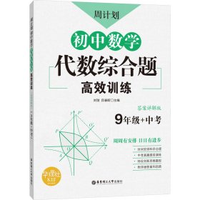 周计划：初中数学代数综合题高效训练（9年级+中考）