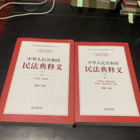 中华人民共和国民法典释义（上中下册）缺中册