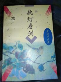 萧逸作品集28：挑灯看剑