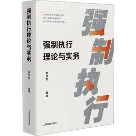 2023新书 强制执行理论与实务 施付阳 编著 指导案例