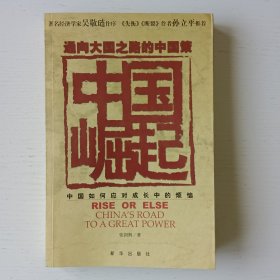 通向大国之路的中国策：中国崛起