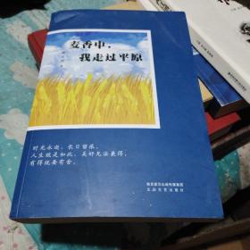 麦香中，我走过平原