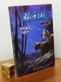 猫王国·暗黑王国.5，飞火流星