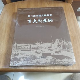 第三次全国文物普查百大新发现 未开封