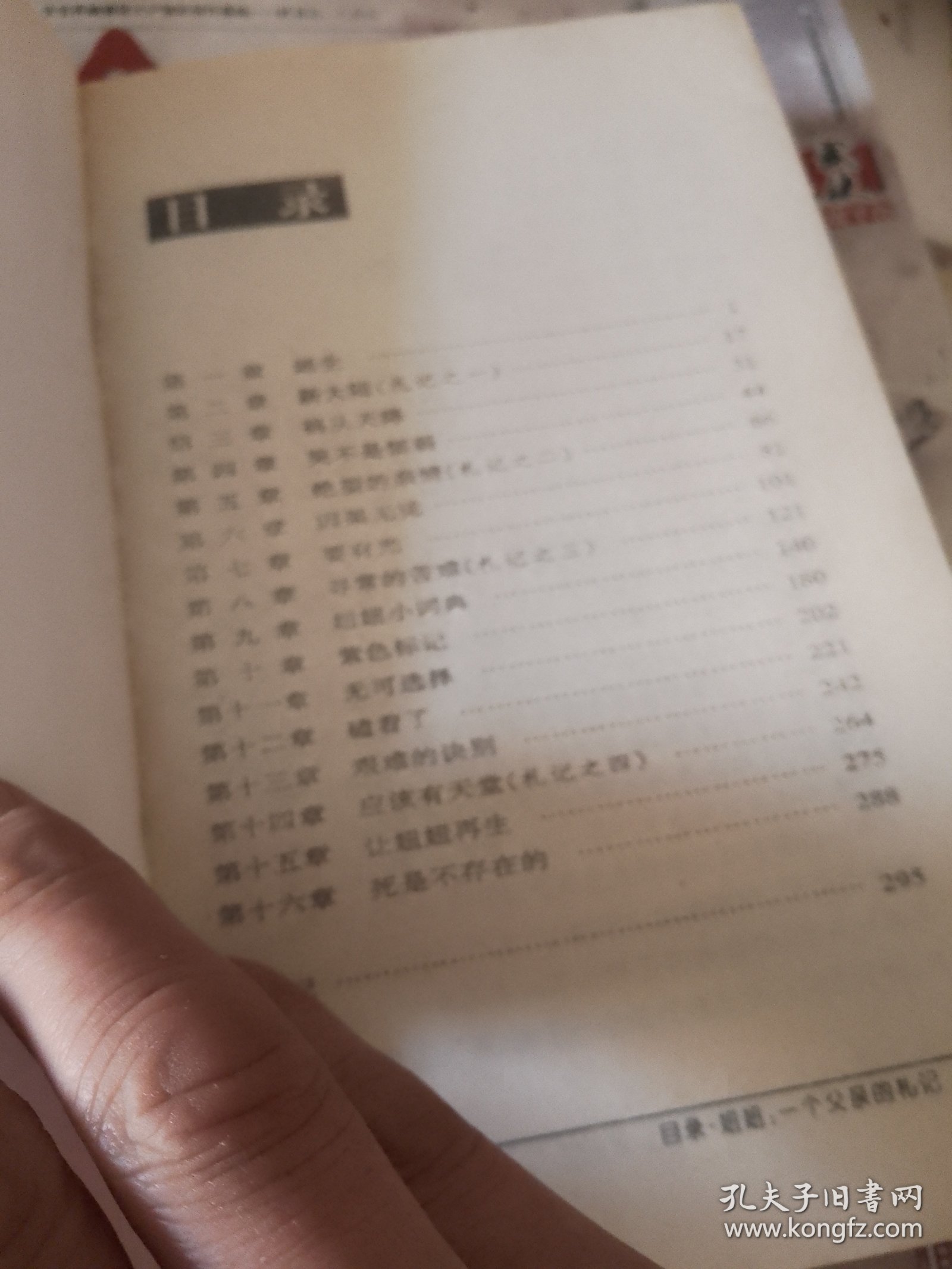 妞妞：一个父亲的札记