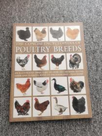 THE CONCISE ENCYCLOPEDIA OF POULTRY BREEDS